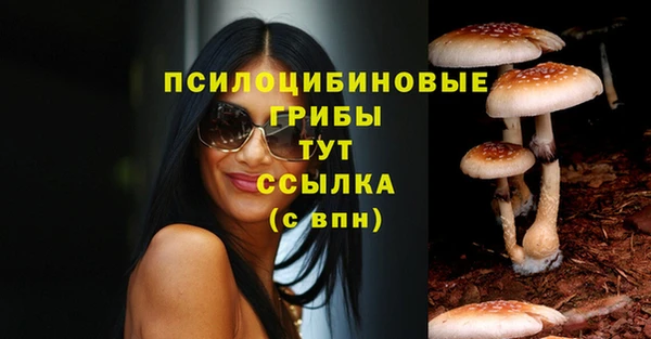 метадон Арсеньев