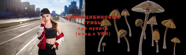 метадон Арсеньев