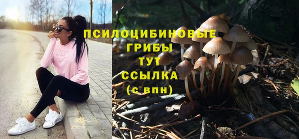 таблы Аркадак