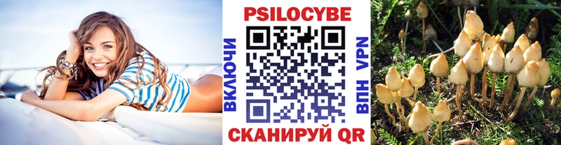МЕГА рабочий сайт  Саки  Псилоцибиновые грибы Psilocybine cubensis 